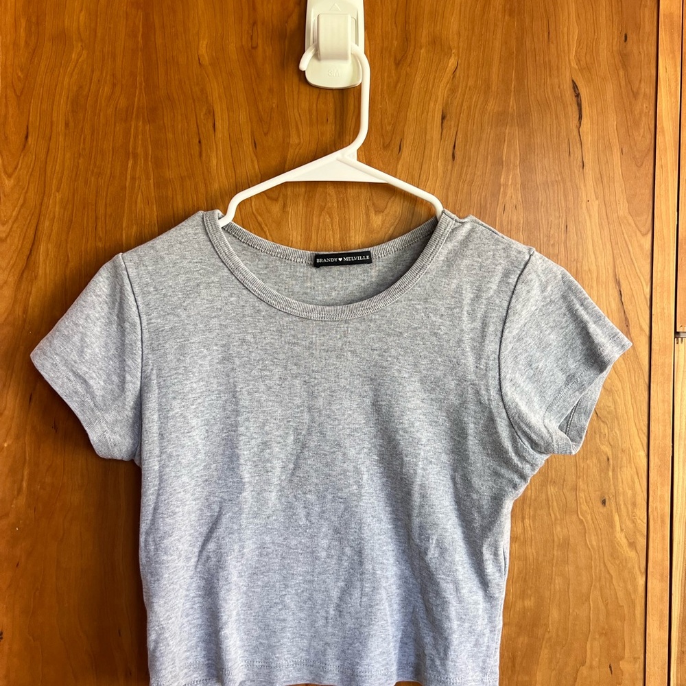 Brandy Melville Light Gray Short Sleeve Crop Top